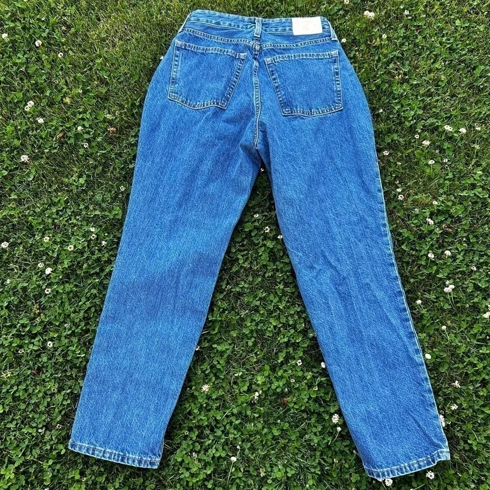 Everlane The Curvy Cheeky 90's Straight Leg High Rise Button Fly Jeans | size 29